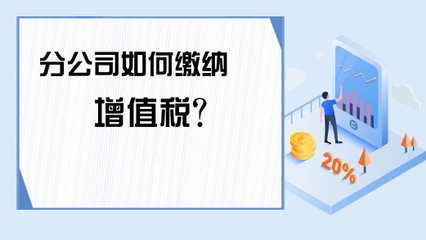 公司增值税是怎么缴纳的？